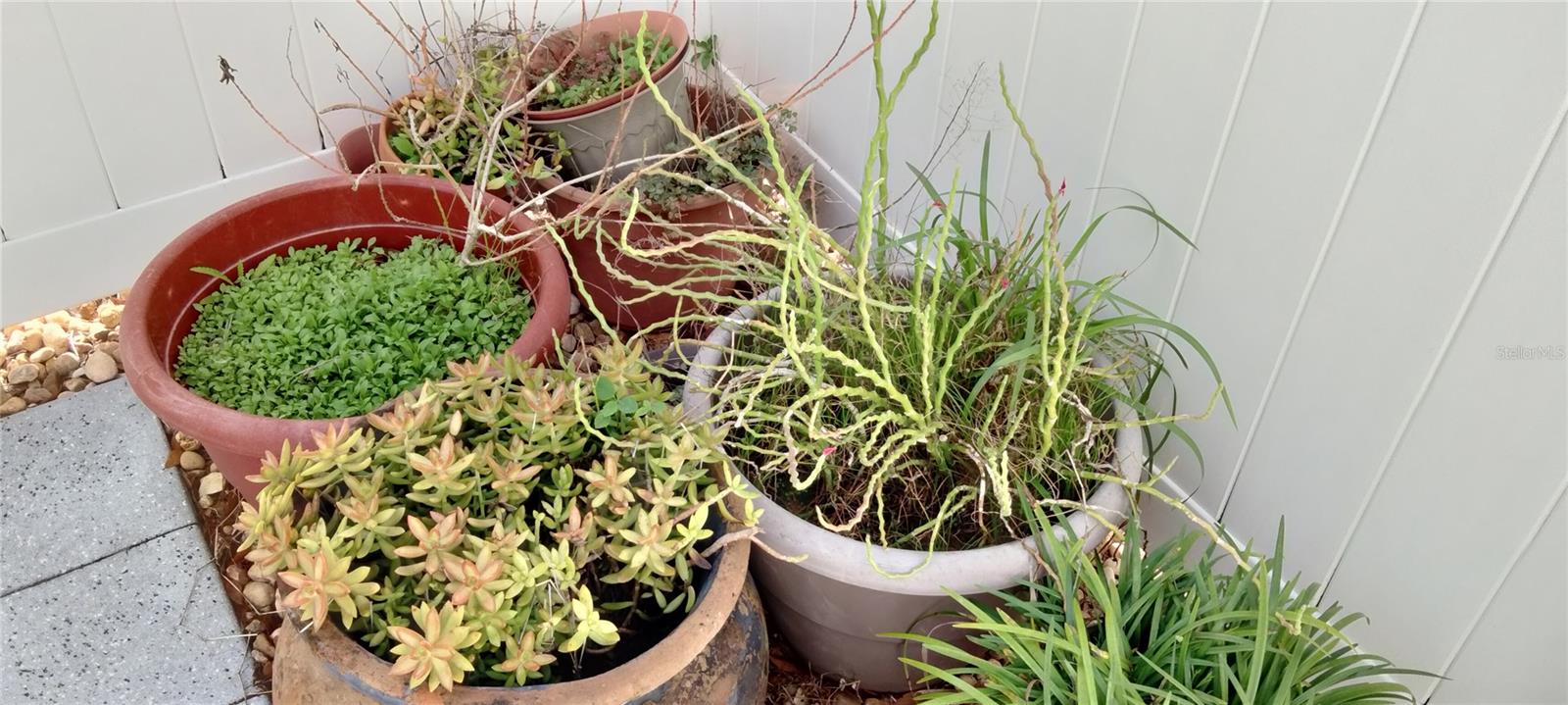 CYPRESSVIEW PH I UNIT 2 - Residential