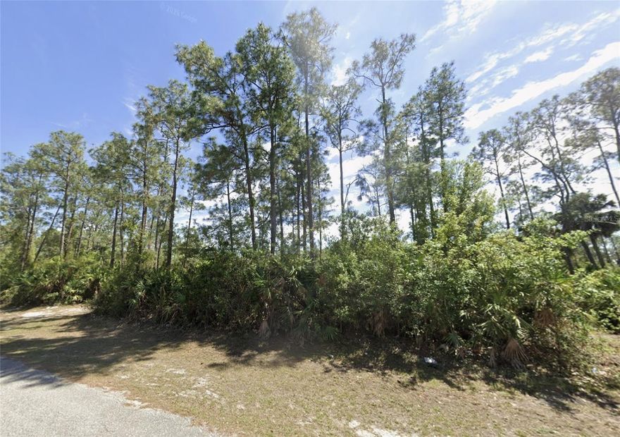 Opportunity Awaits in Lehigh Acres!
Discover the potential of this 0.25-acre vacant lot in Lehigh Acres, FL. This uncleared parcel offers a blank canvas for your next project — whether you’re planning to build your dream home, start a long-term investment, or hold land for future development, this property provides excellent potential in a rapidly growing area.

Lehigh Acres is one of Southwest Florida’s fastest-growing communities, surrounded by new construction and residential expansion. The location provides easy access to schools, shopping centers, dining, and major roadways, making it both convenient and desirable.

Enjoy a peaceful neighborhood setting while staying close to local amenities and recreational spots like parks, lakes, and golf courses. With no HOA, low property taxes, and utilities nearby, this is the perfect opportunity to invest in Florida real estate at an affordable price.

Don’t miss your chance to secure this piece of land in Lehigh Acres — bring your vision and make it your own today!
