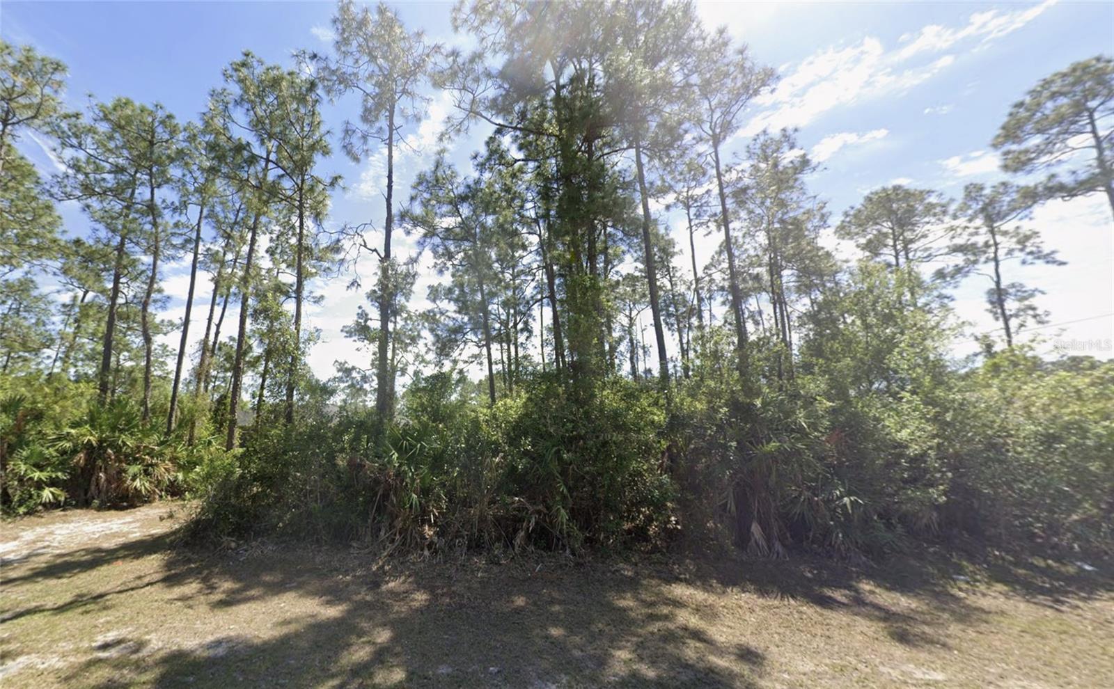 LEHIGH ACRES - Land