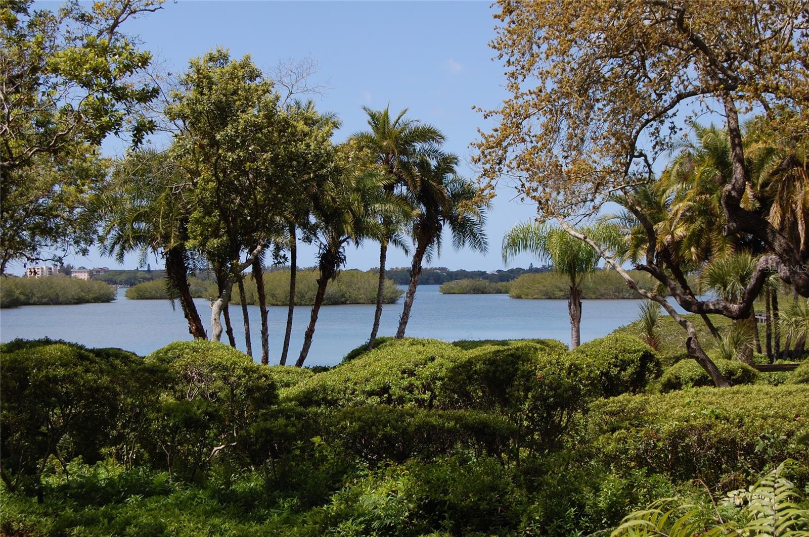 PELICAN COVE XVI - Residential Lease