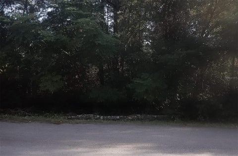 Tiny photo for 2728 E Center Street, Inverness, FL 34453 (MLS # O6446381)