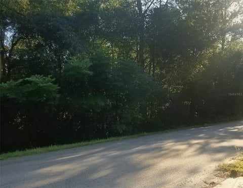 Tiny photo for 2728 E Center Street, Inverness, FL 34453 (MLS # O6446381)