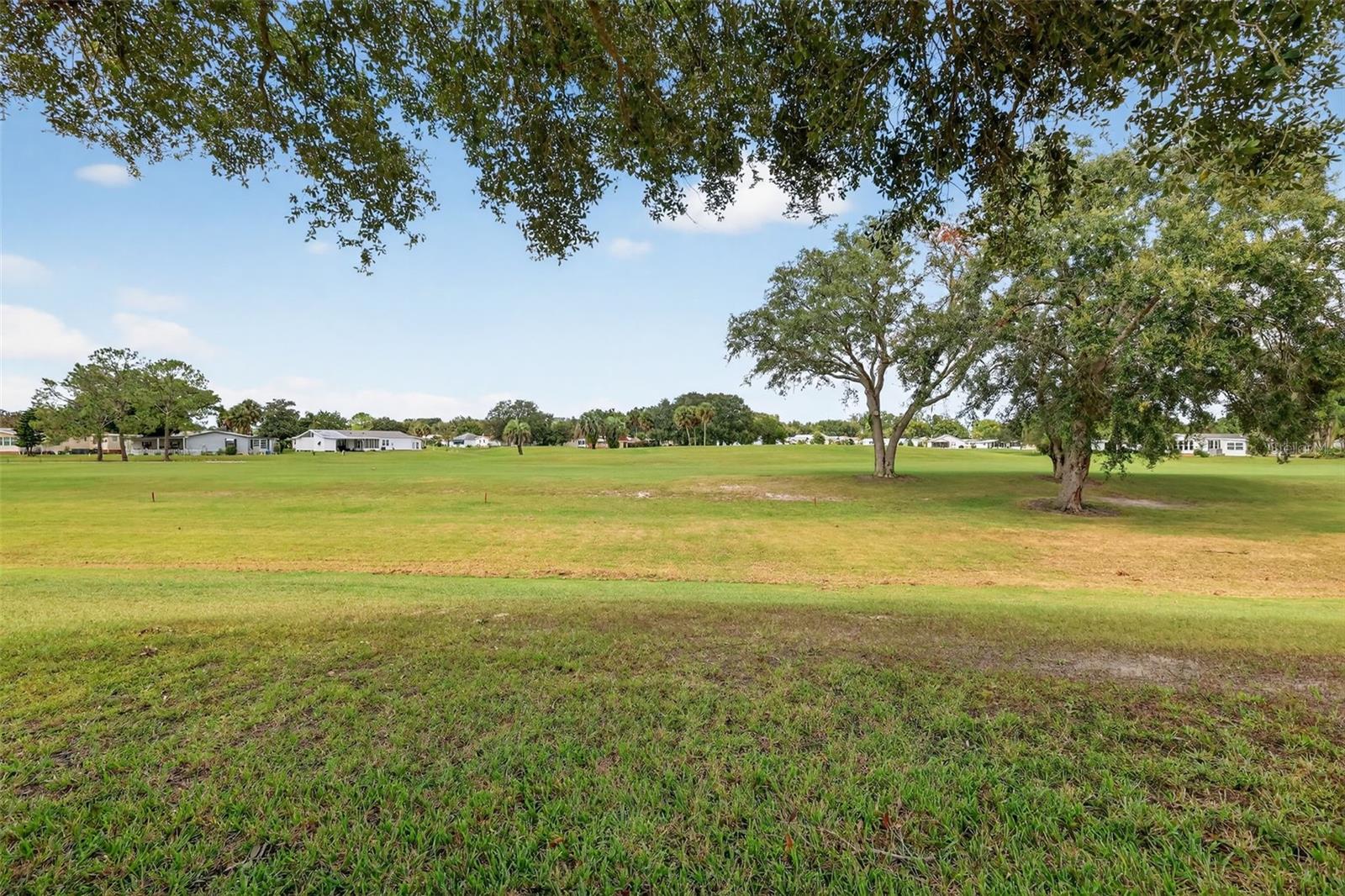 LADY LAKE ORANGE BLOSSOM GARDENS UNIT 08 - Residential