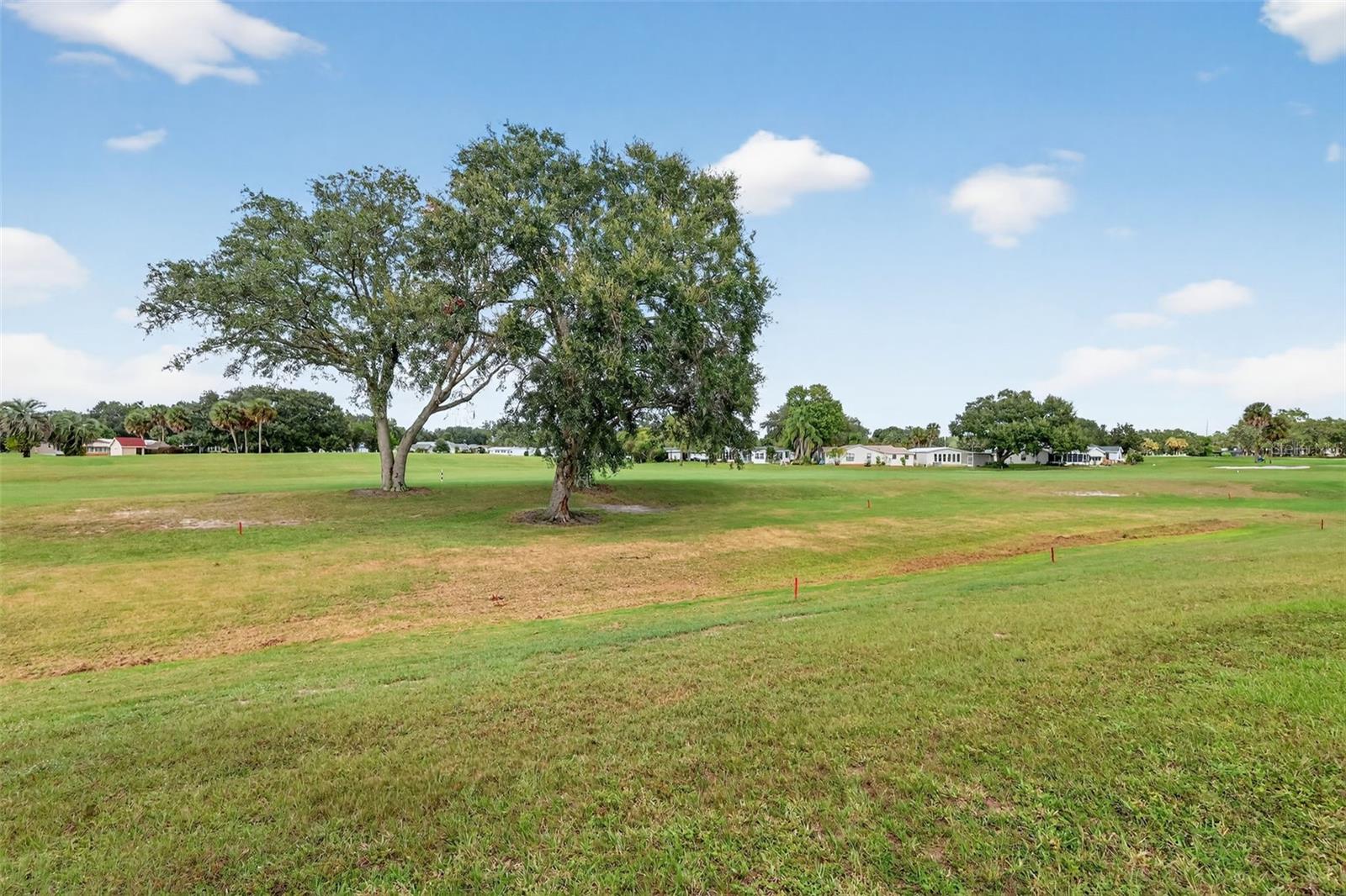 LADY LAKE ORANGE BLOSSOM GARDENS UNIT 08 - Residential