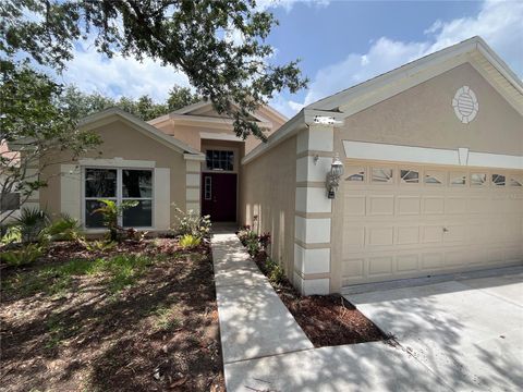 12421 EARLY RUN LANE RIVERVIEW FL 33578