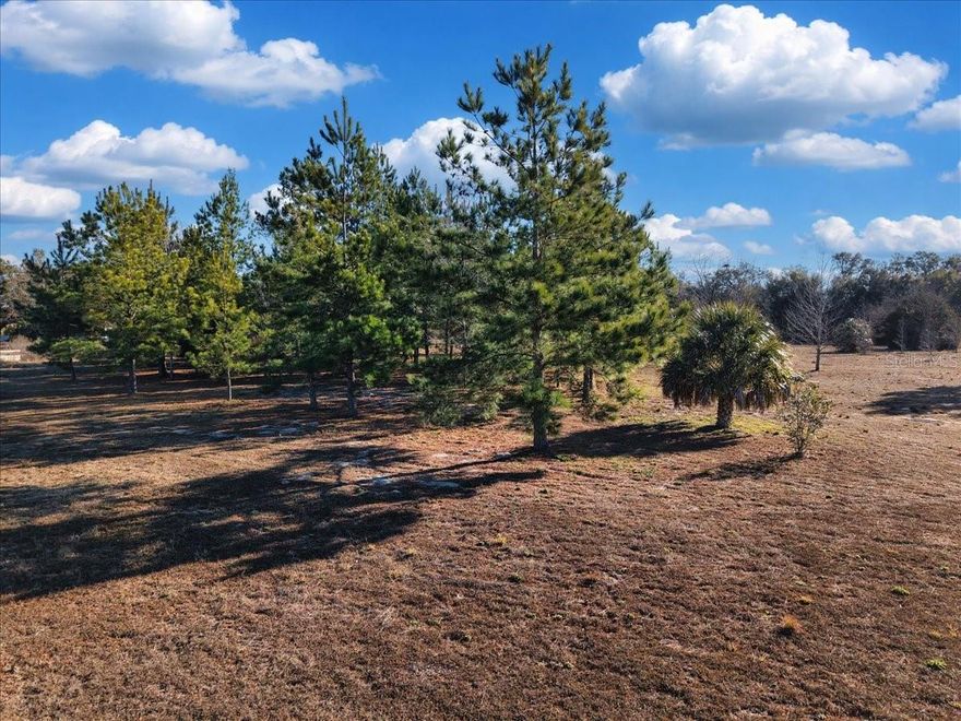 Beautiful cleared pasture-like 5 acres MOL. Some gorgeous trees scattered on property. Build a site built or bring in your manufactured home!! Just 10 minutes from Chiefland, 20 minutes to Cedar Key, just a few minutes from Fowler's Bluff! Close to all the restaurants and shopping!