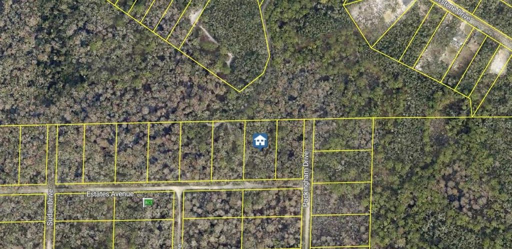 Photo of Rose Bloom Avenue, Webster, FL 33597 (MLS # G5101091)