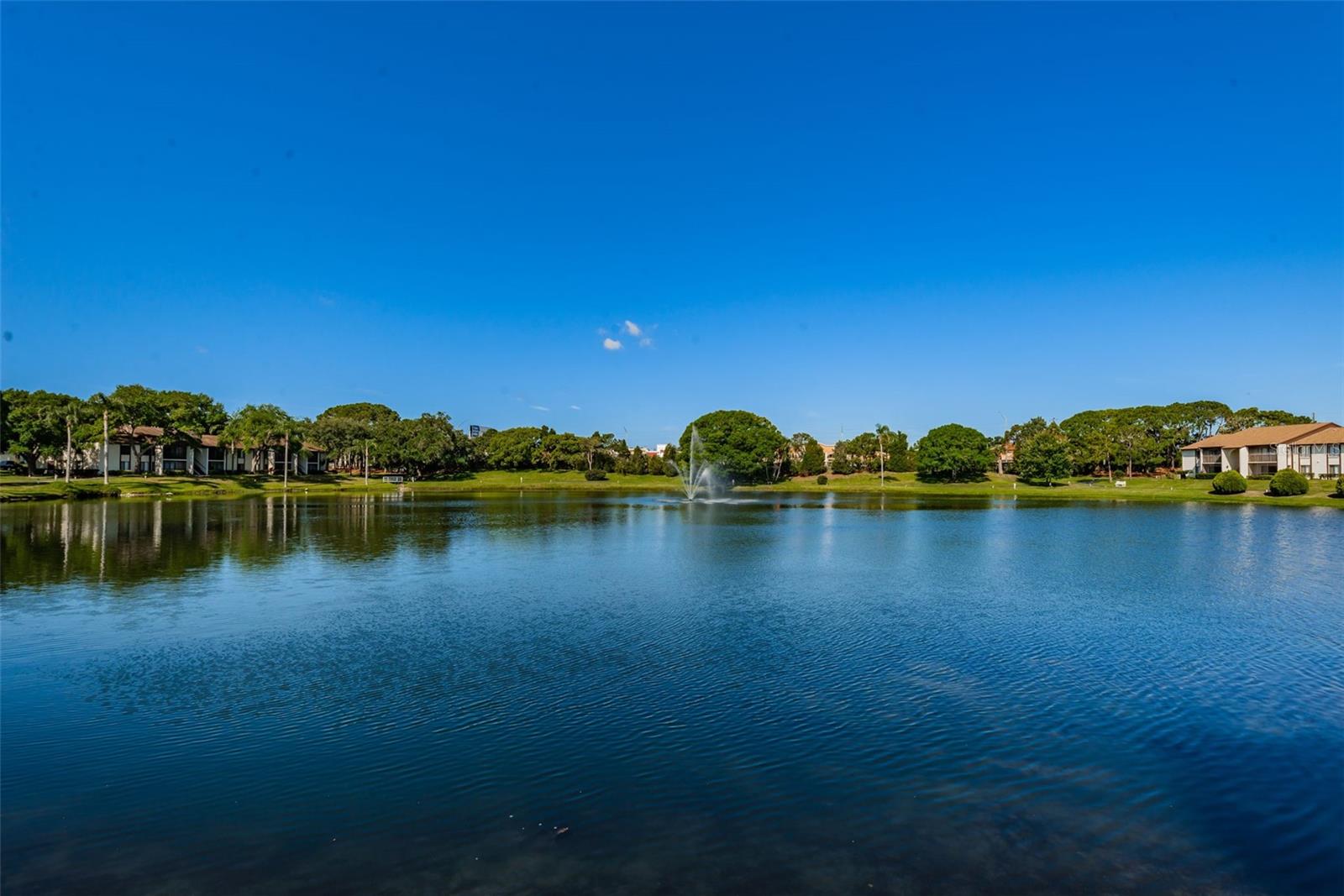 PINE RIDGE AT PALM HARBOR - Residential