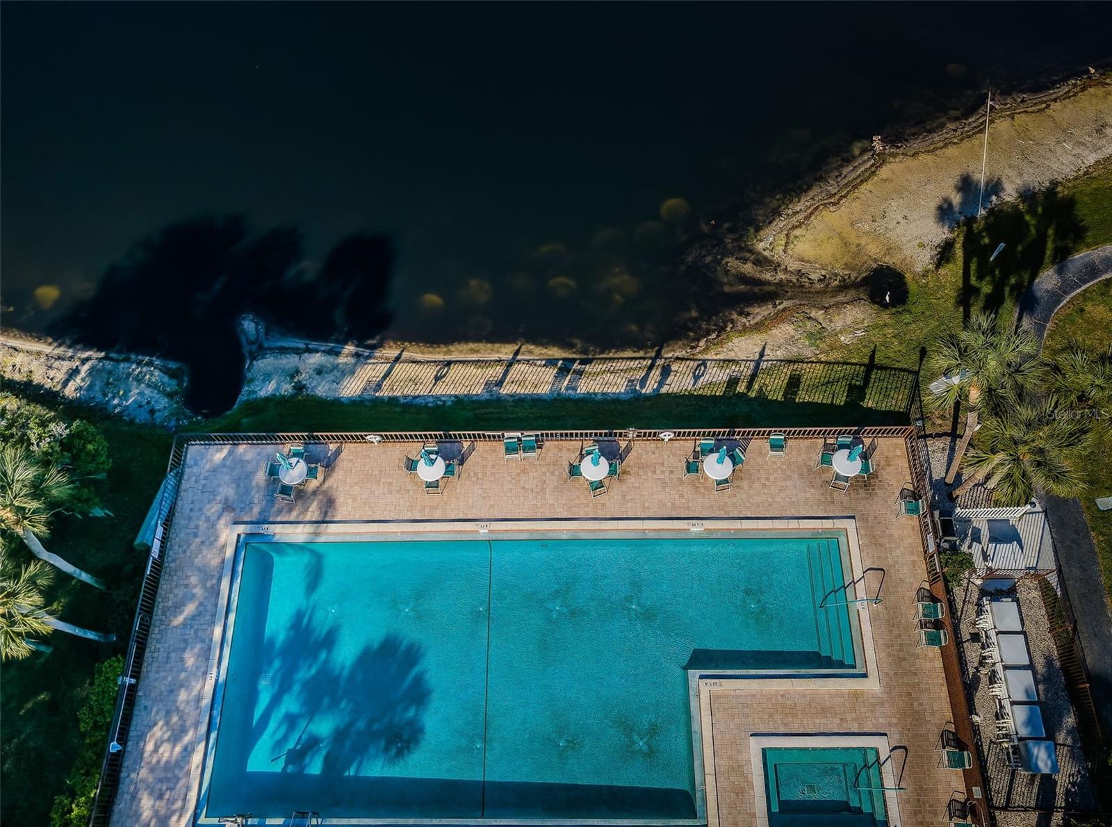 PINE RIDGE AT PALM HARBOR - Residential