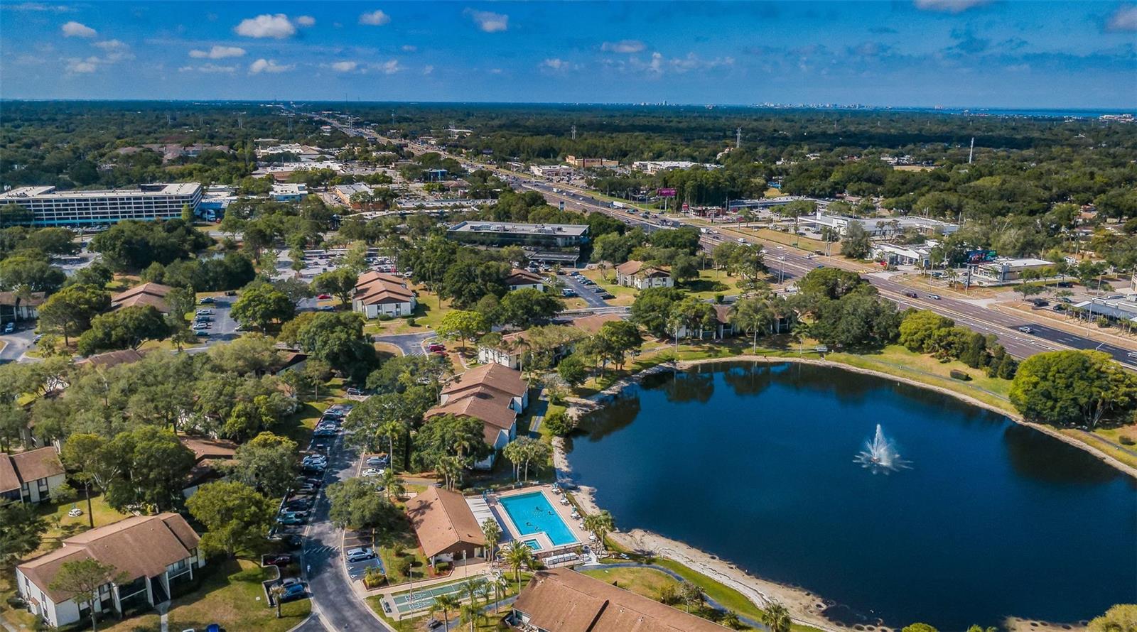 PINE RIDGE AT PALM HARBOR - Residential