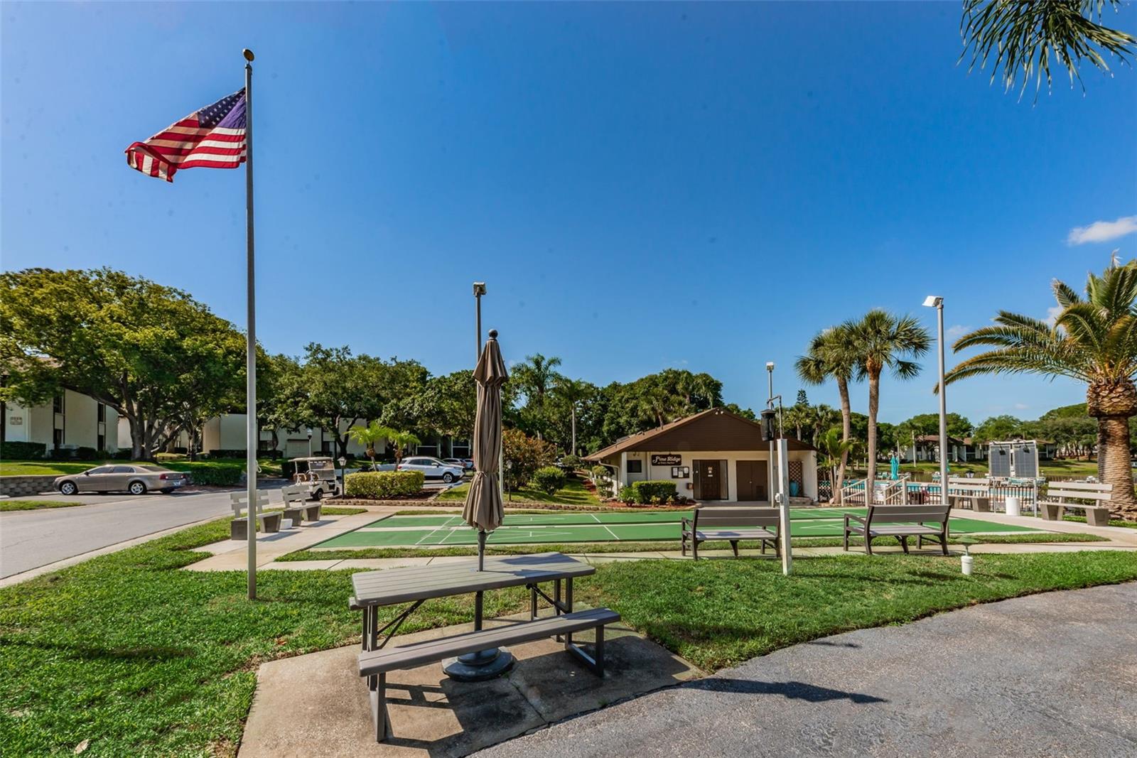 PINE RIDGE AT PALM HARBOR - Residential