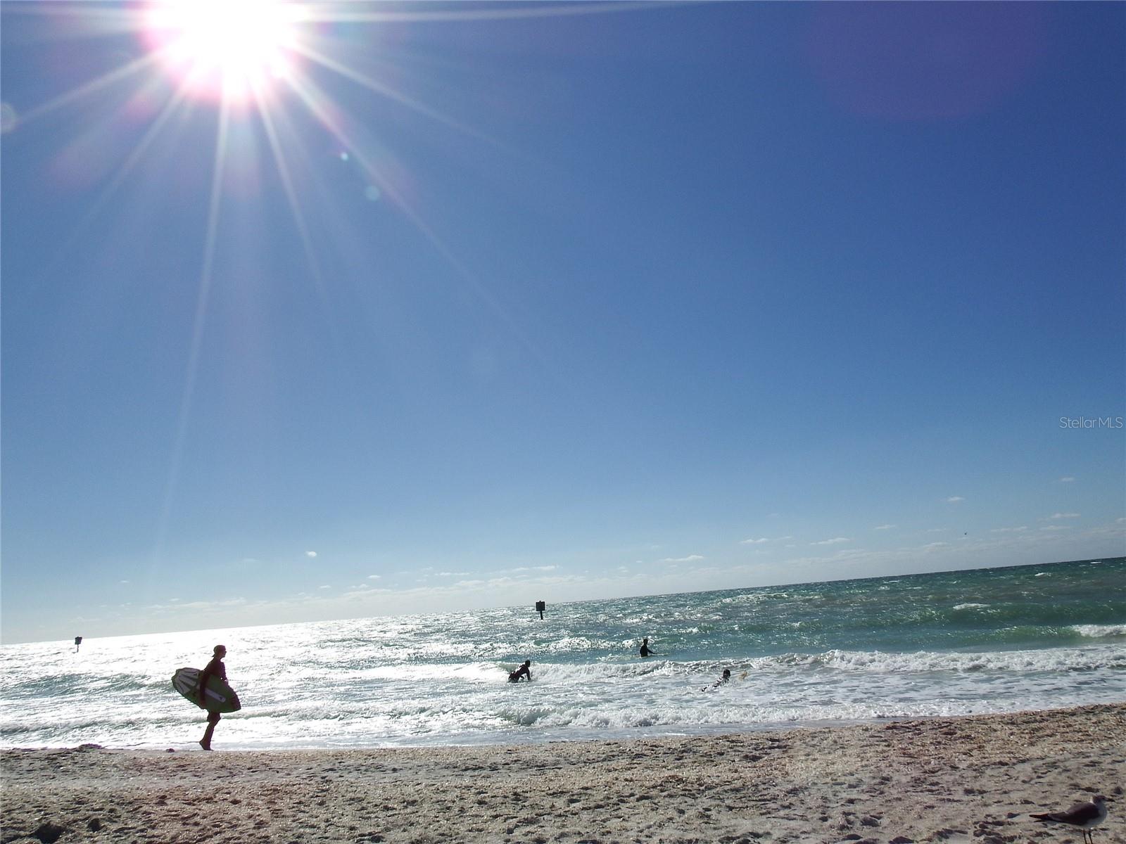 ROTONDA WEST PINE VALLEY - Land