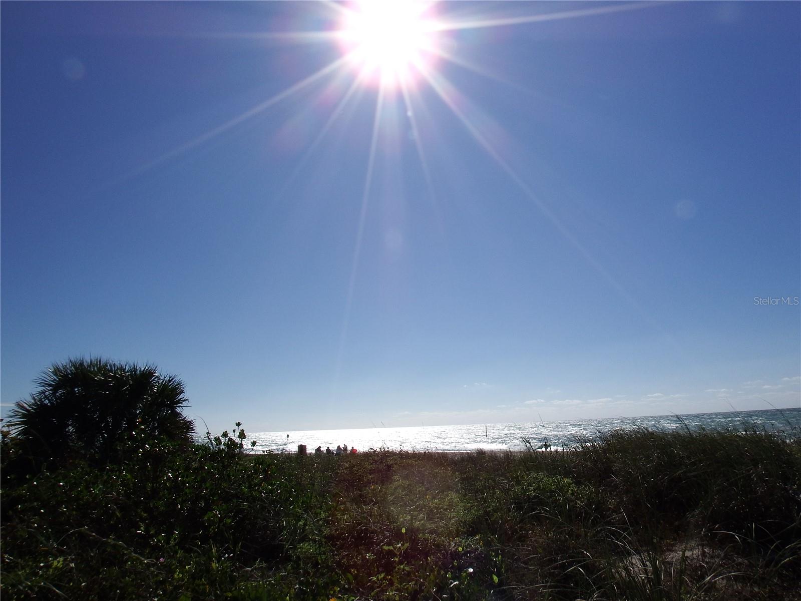 ROTONDA WEST PINE VALLEY - Land