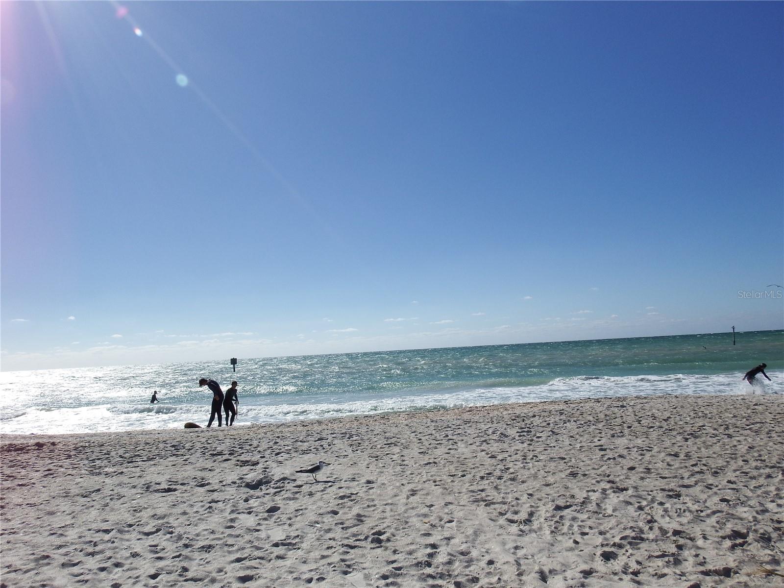 ROTONDA WEST PINE VALLEY - Land