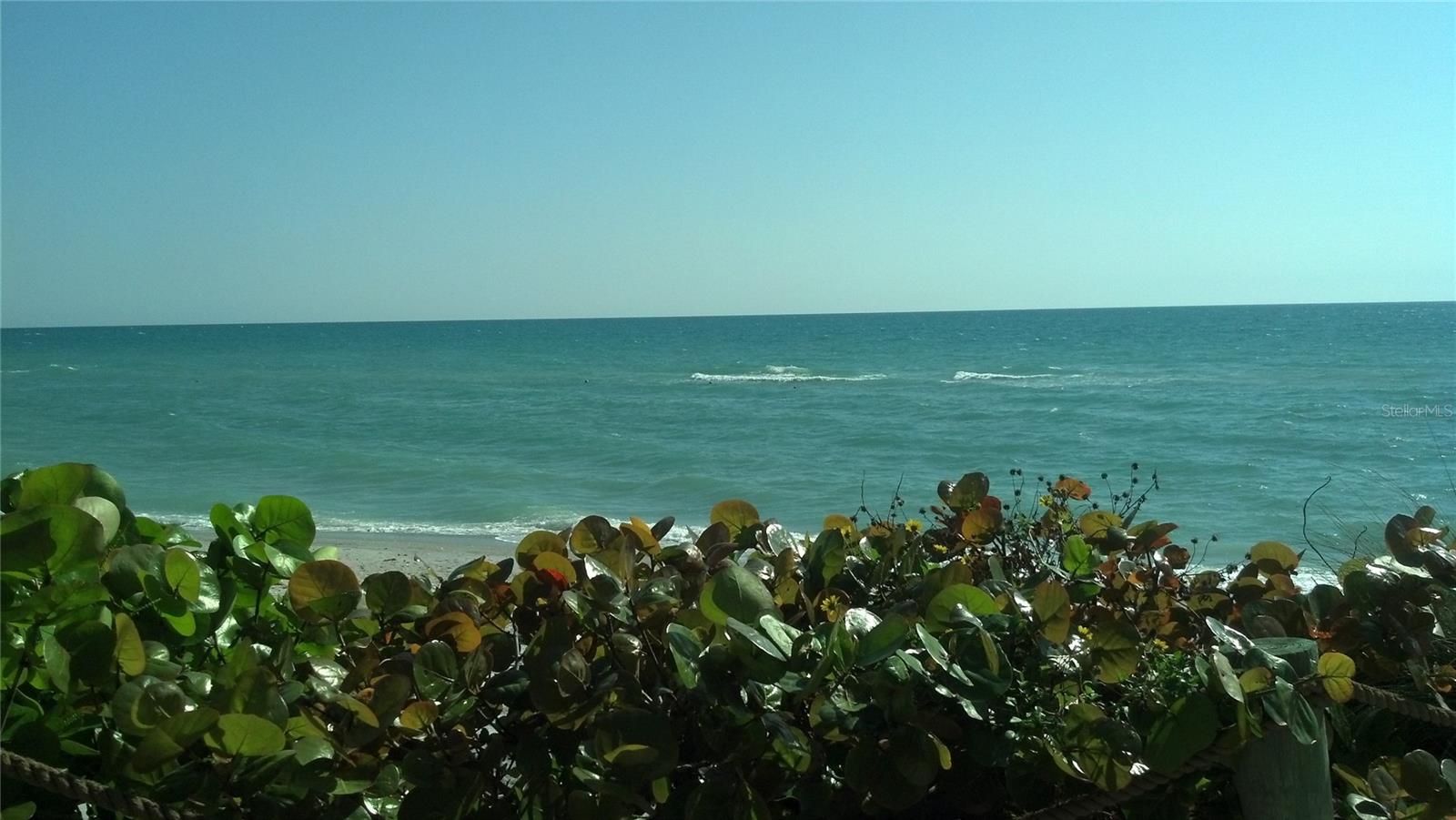 ROTONDA WEST PINE VALLEY - Land