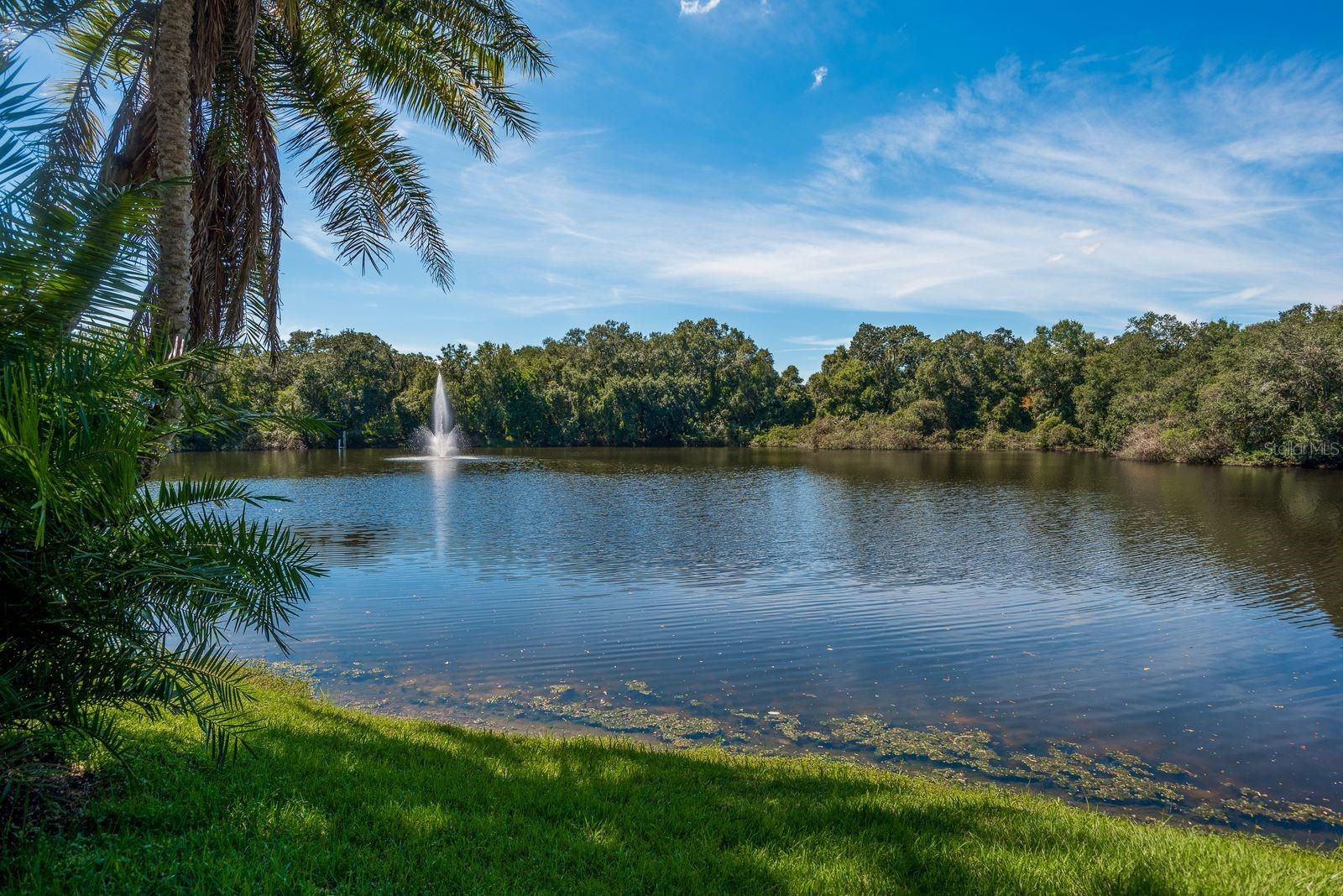 WEDGE WOOD OF PALM HARBOR - Residential