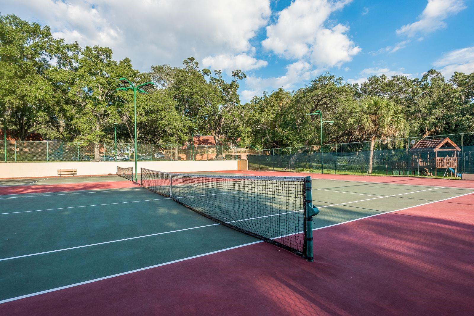 WEDGE WOOD OF PALM HARBOR - Residential