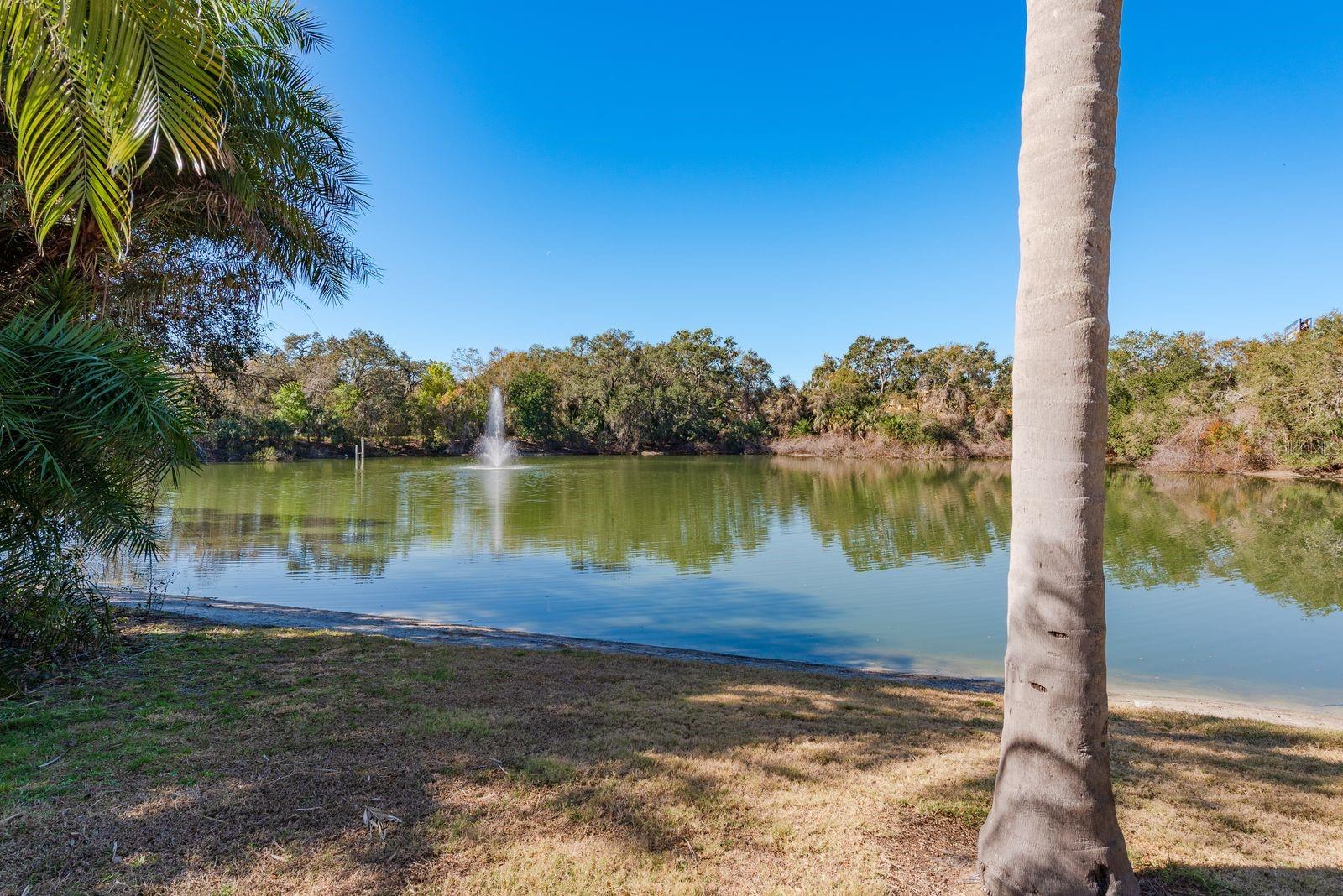 WEDGE WOOD OF PALM HARBOR - Residential