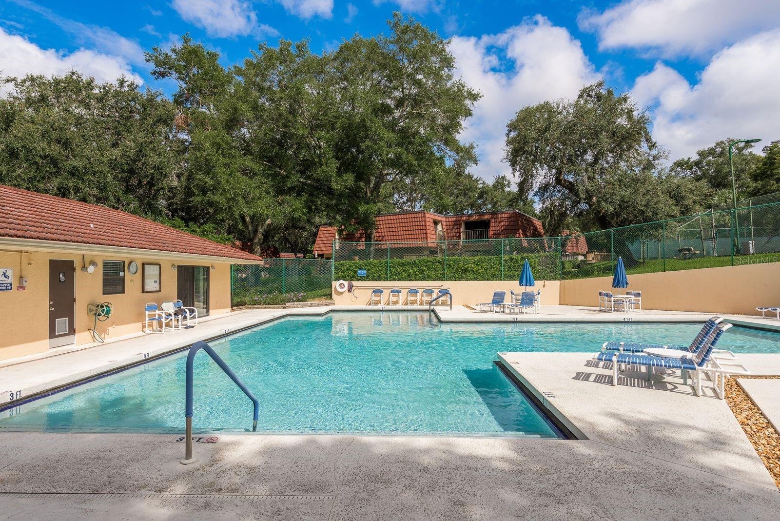 WEDGE WOOD OF PALM HARBOR - Residential