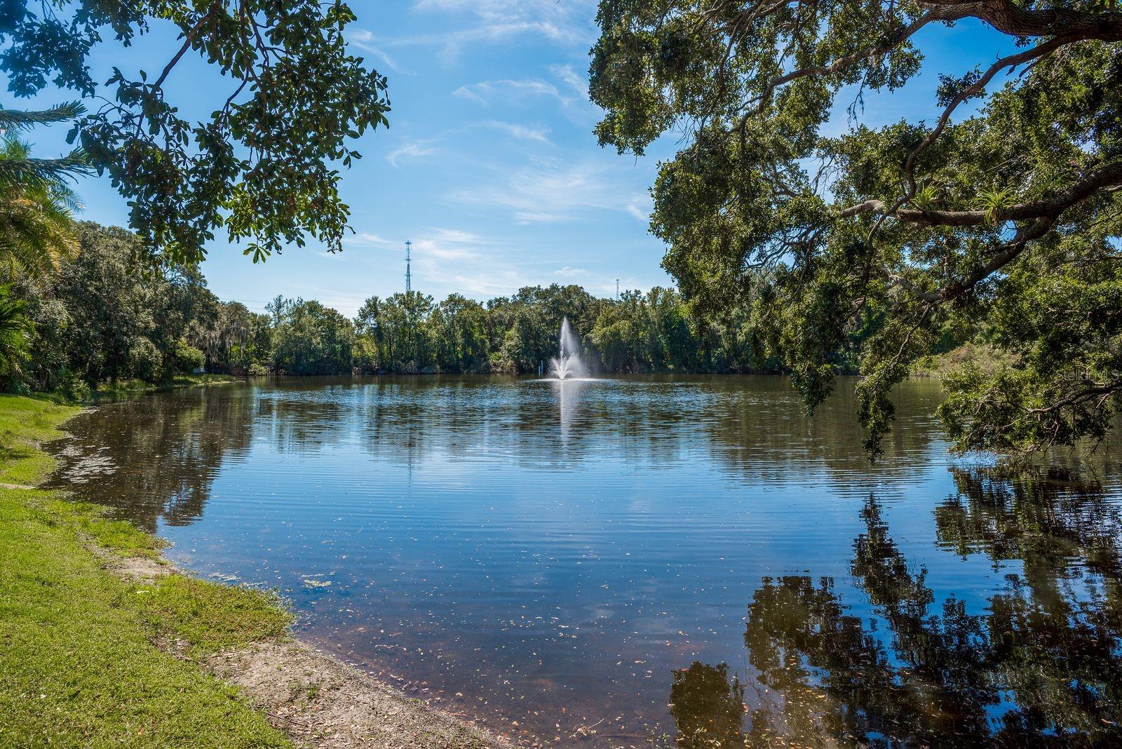 WEDGE WOOD OF PALM HARBOR - Residential