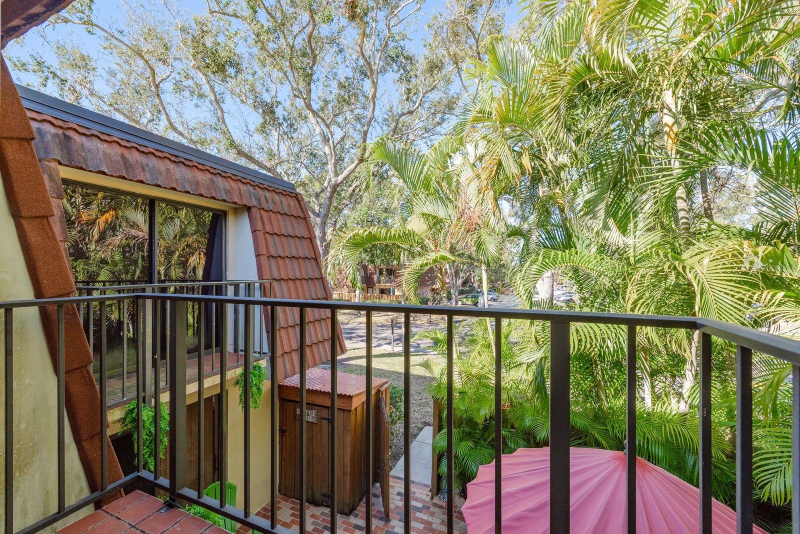 WEDGE WOOD OF PALM HARBOR - Residential