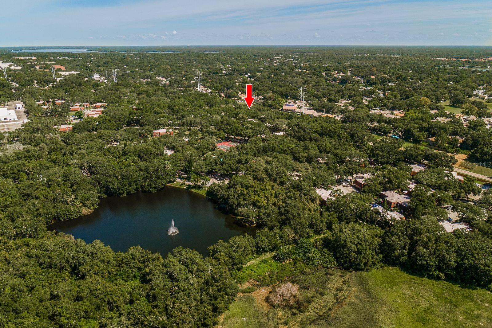 WEDGE WOOD OF PALM HARBOR - Residential