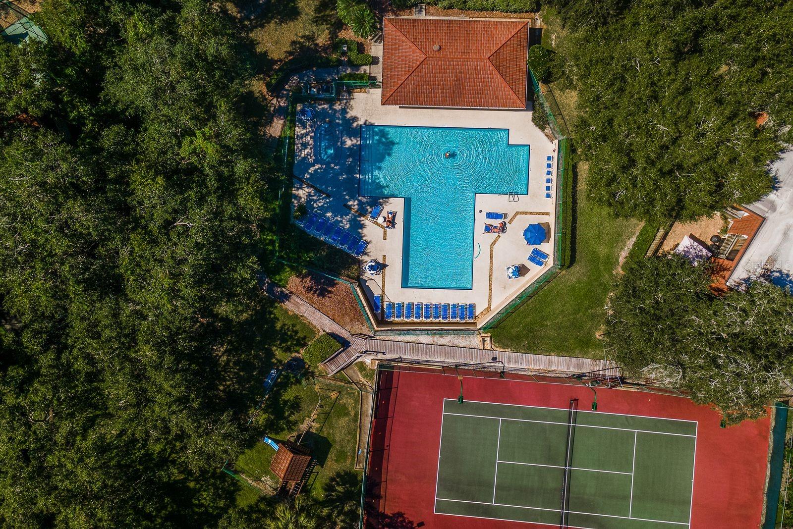 WEDGE WOOD OF PALM HARBOR - Residential