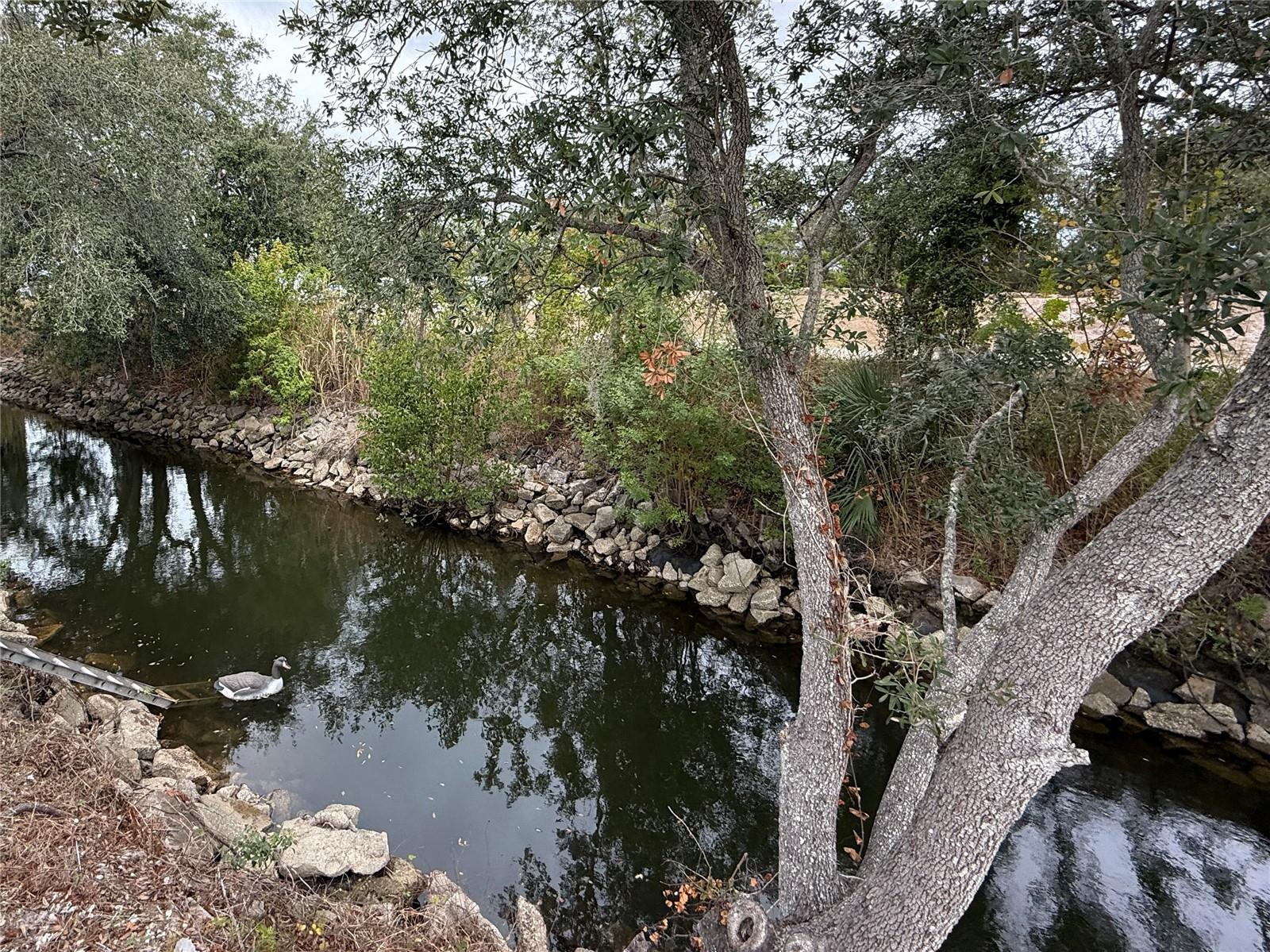 CARIBBEAN ISLES RESIDENTIAL COOPERATIVE - Residential