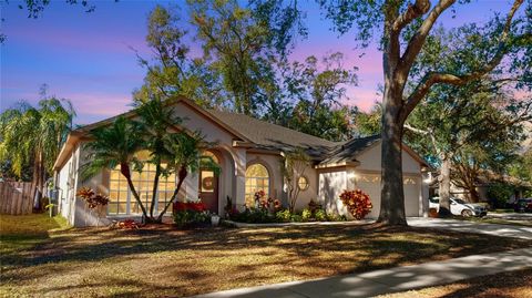 A home in VALRICO