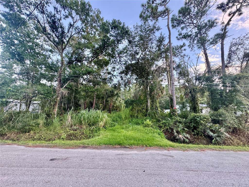 Photo of 18704 16th Avenue, Orlando, FL 32833 (MLS # O6433847)