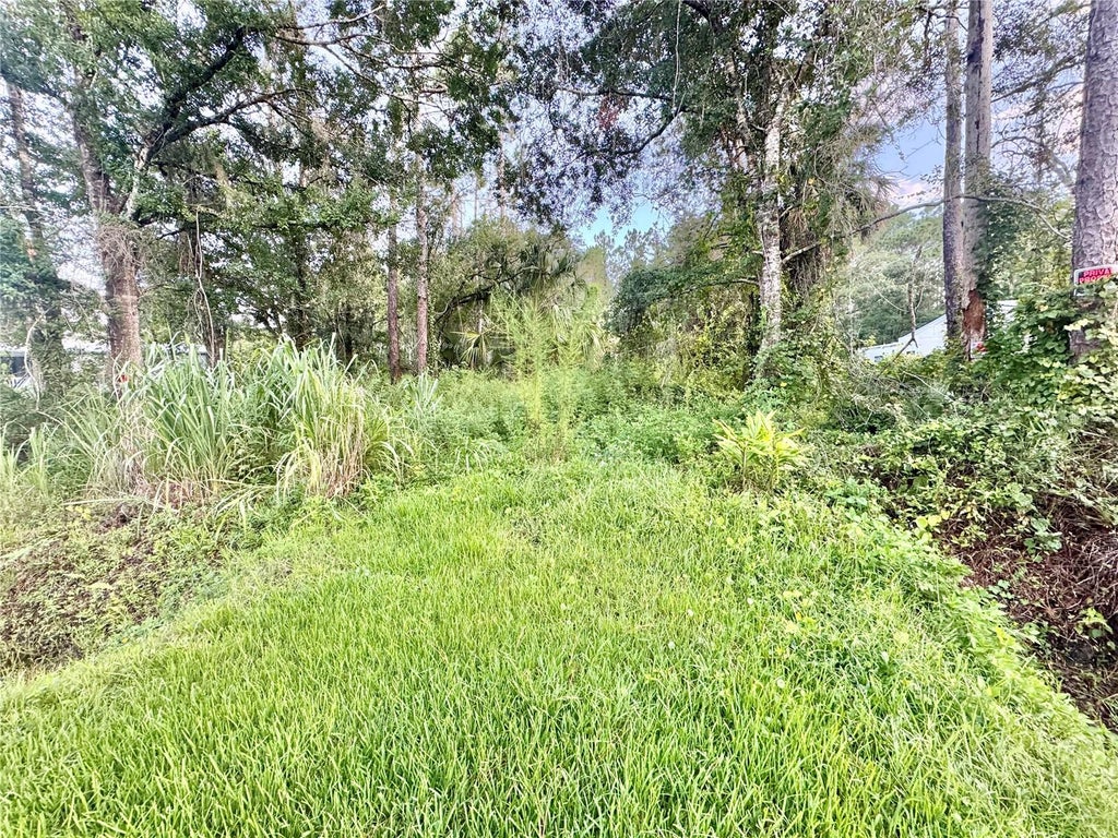 Photo of 18704 16th Avenue, Orlando, FL 32833 (MLS # O6433847)