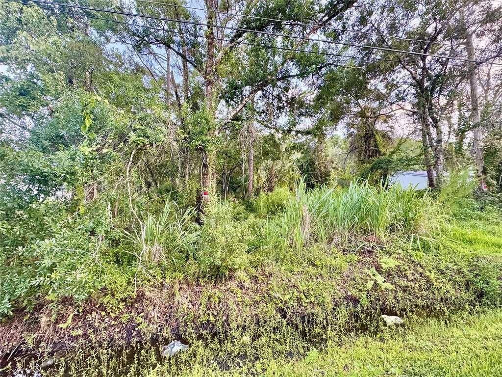 Photo of 18704 16th Avenue, Orlando, FL 32833 (MLS # O6433847)