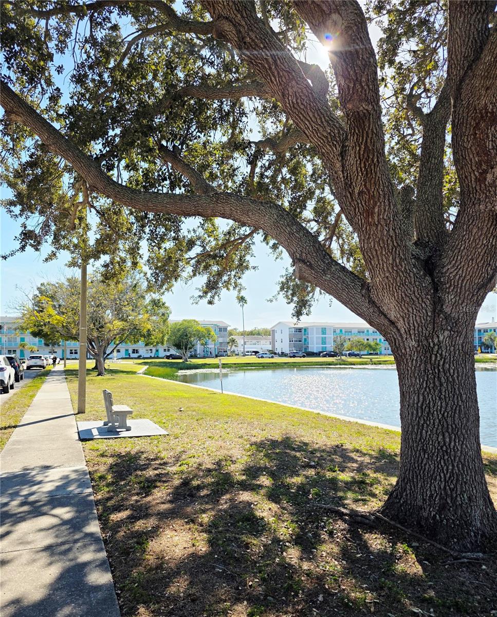 TOWN APTS CONDO - Residential