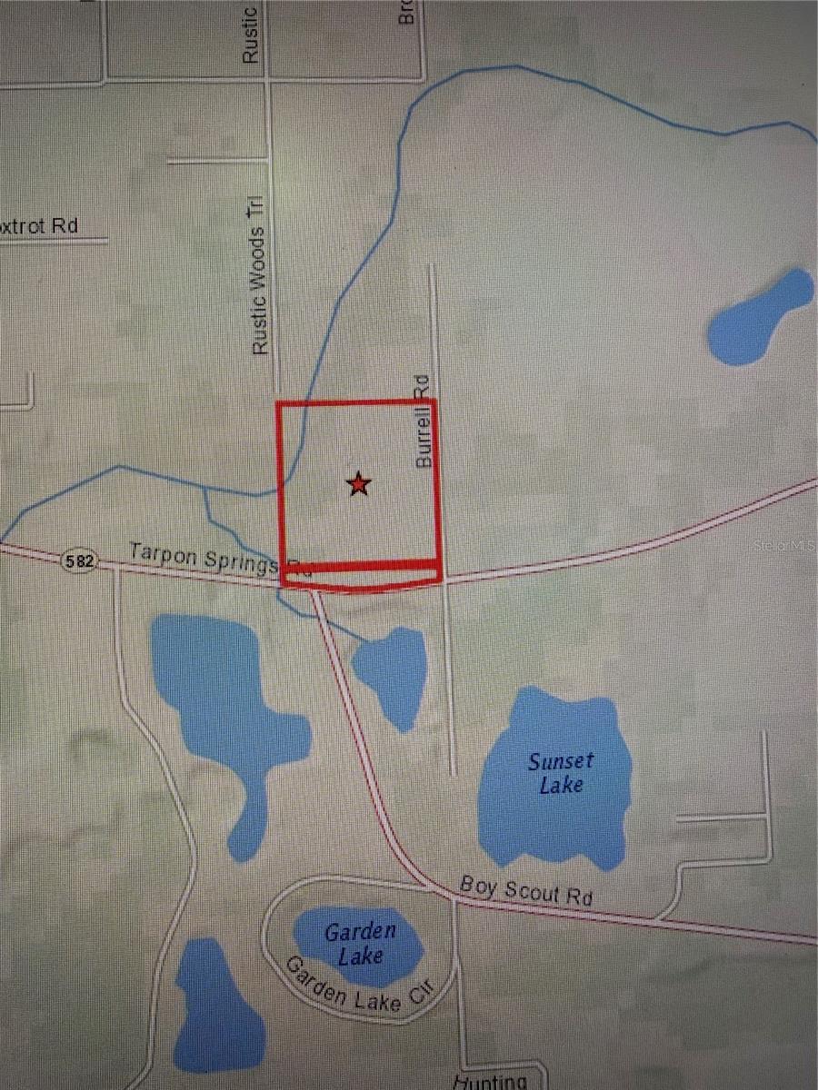 11819 TARPON SPRINGS ROAD
