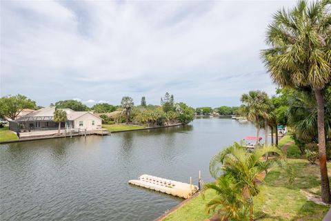 A home in TAMPA