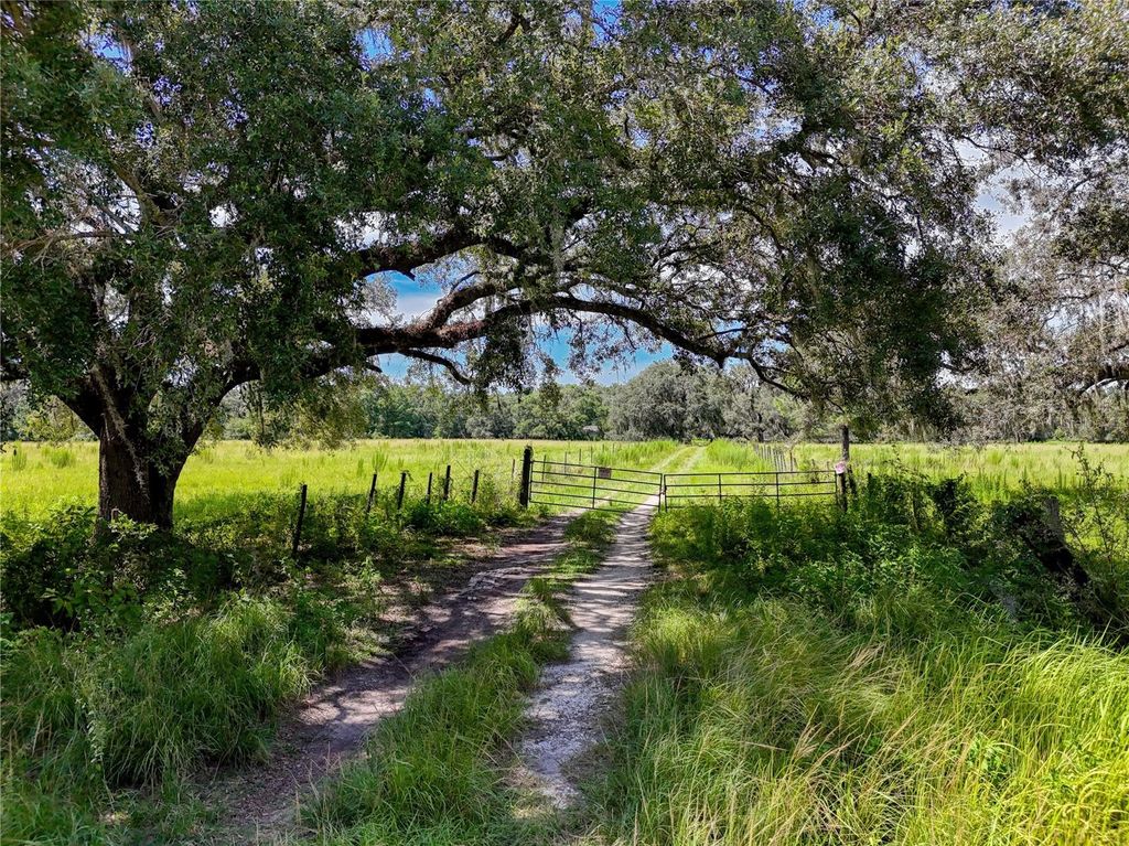 Photo of 20089 Ayers Road, Brooksville, FL 34604 (MLS # W7877261)