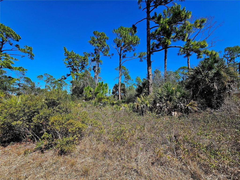 Photo of 1468 Biscayne Drive, Port Charlotte, FL 33953 (MLS # C7522029)