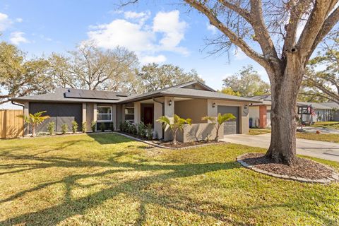 6809 CIRCLECREEK DRIVE PINELLAS PARK FL 33781