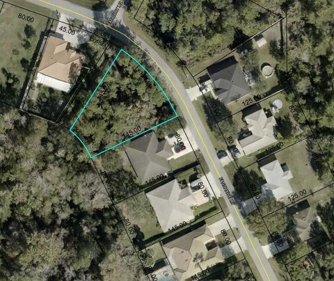 21 FANSHAWE LANE PALM COAST FL 32137