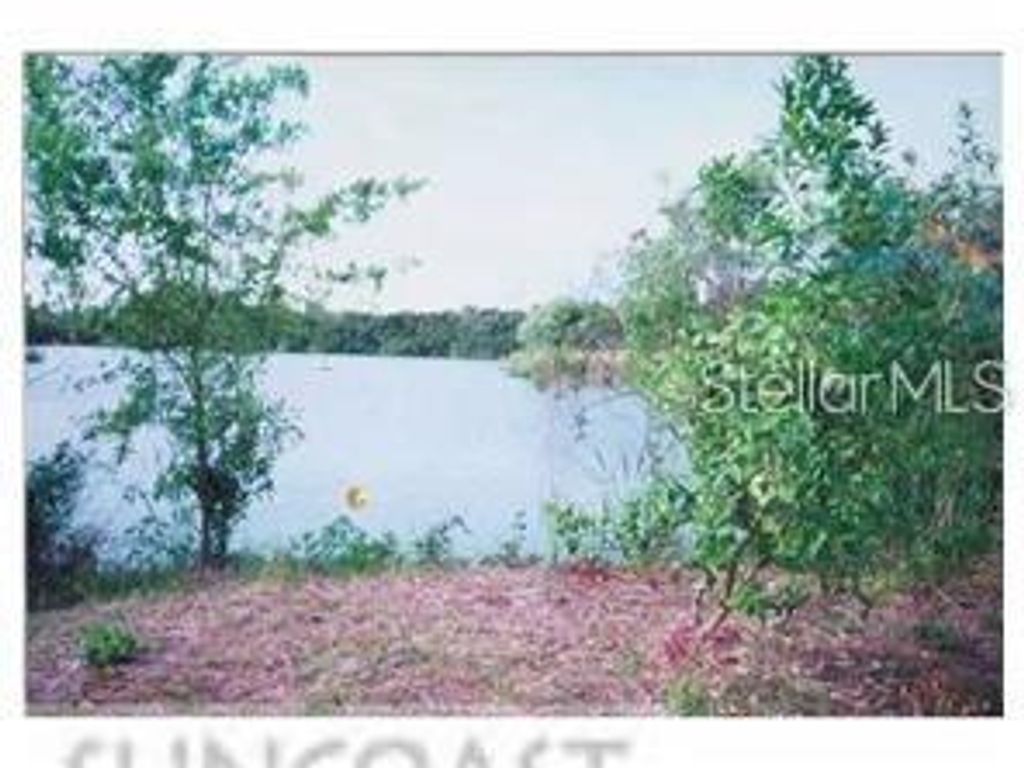 Photo of 1318 Classic Drive, Holiday, FL 34691 (MLS # TB8450612)