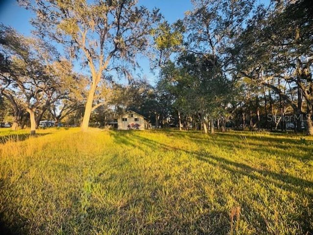 Photo of 17476 Nicholas Avenue, Brooksville, FL 34604 (MLS # G5105810)