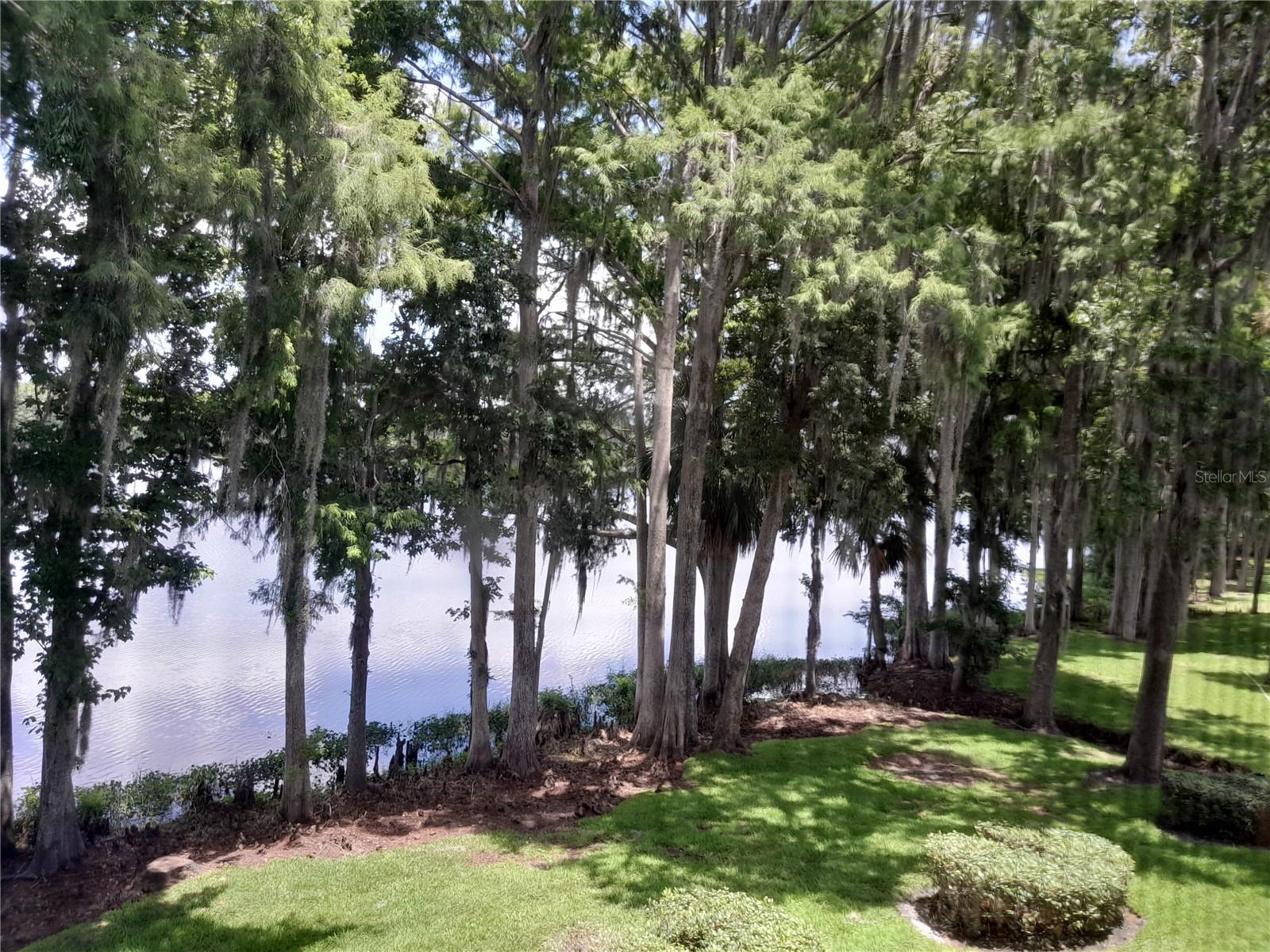 NORTHLAKE VILLAGE CONDO 8 - Residential