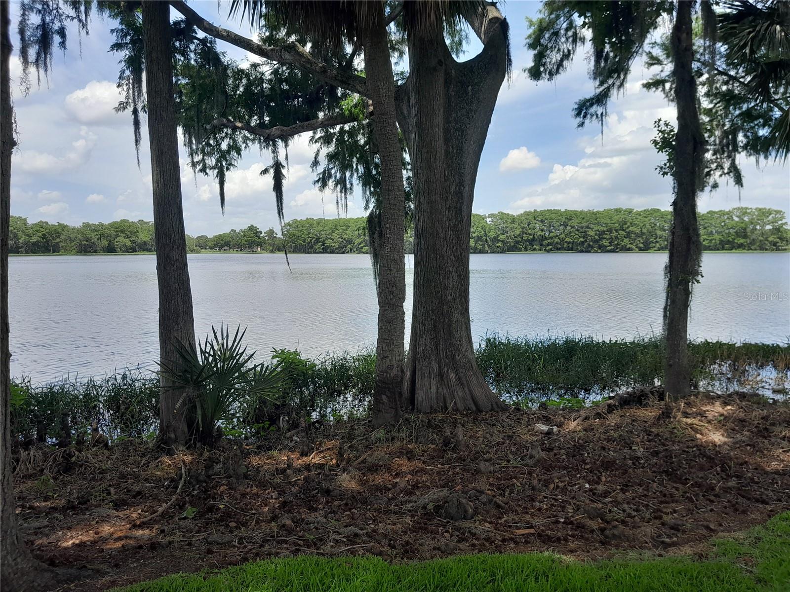 NORTHLAKE VILLAGE CONDO 8 - Residential