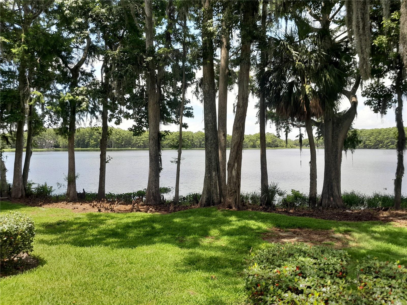 NORTHLAKE VILLAGE CONDO 8 - Residential
