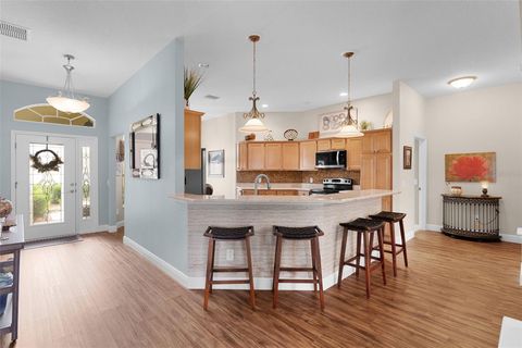 Tiny photo for 2091 Dipper Loop, The Villages, FL 32162 (MLS # G5111261)