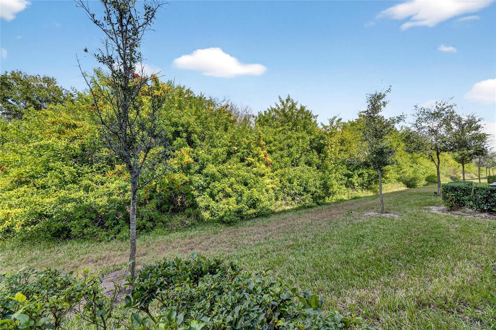 CYPRESS CRK PRCL K PH 2 - Residential