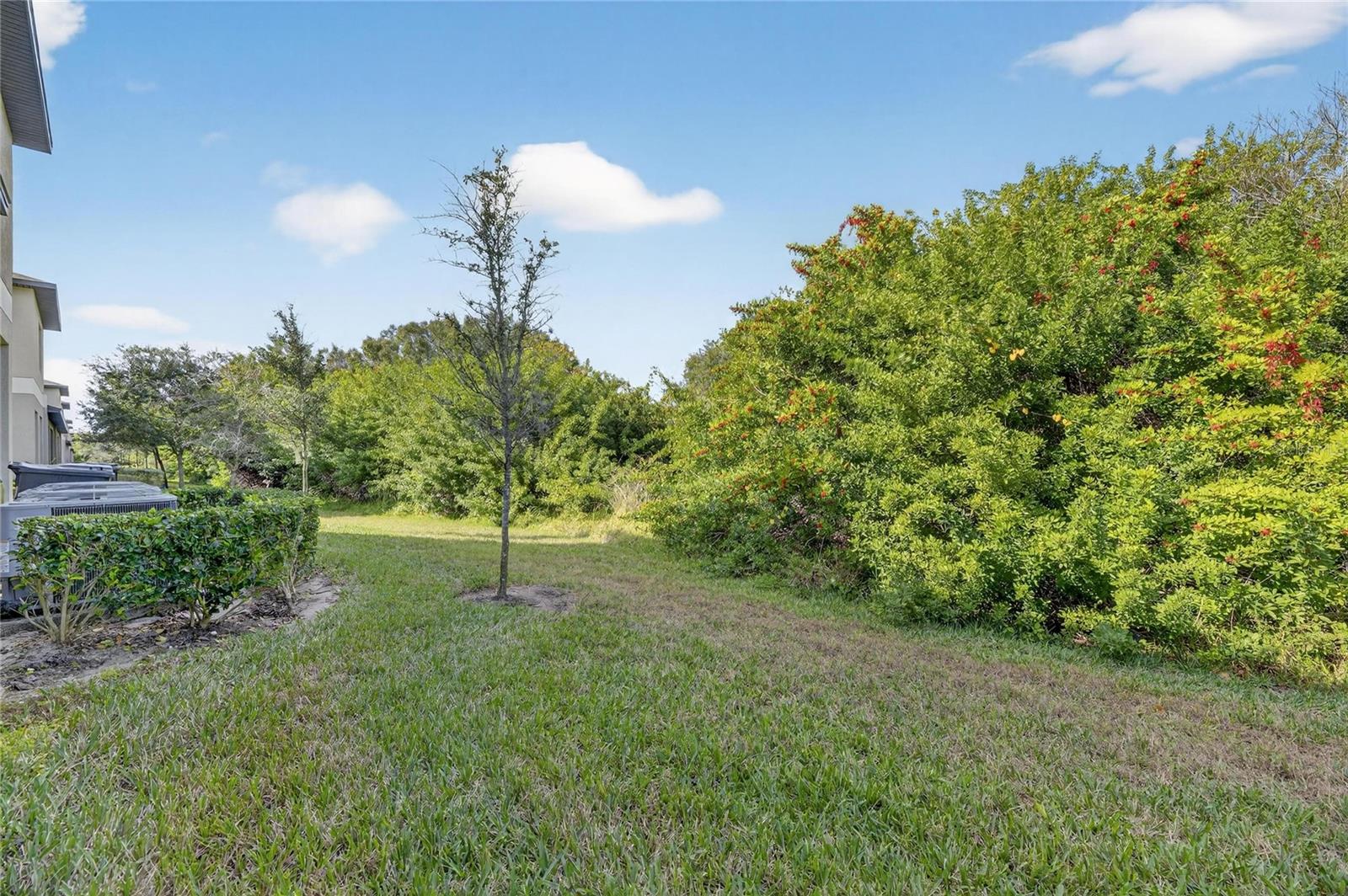 CYPRESS CRK PRCL K PH 2 - Residential