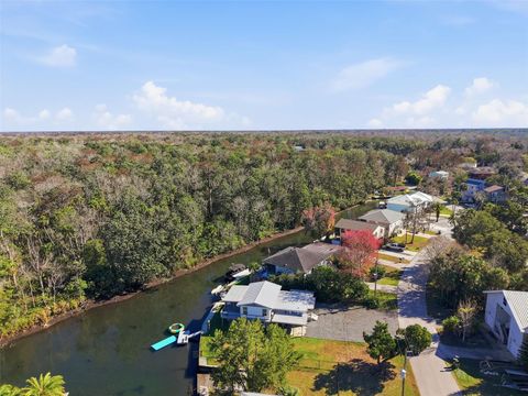 7266 TROPICAL DRIVE WEEKI WACHEE FL 34607