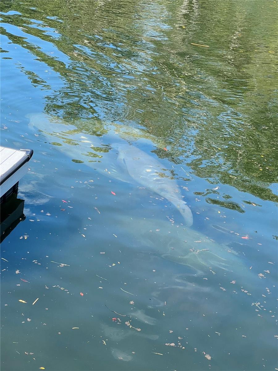 WEEKI WACHEE GARDENS ADD - Residential