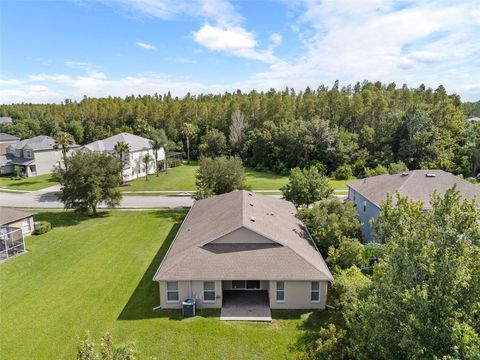 A home in WESLEY CHAPEL